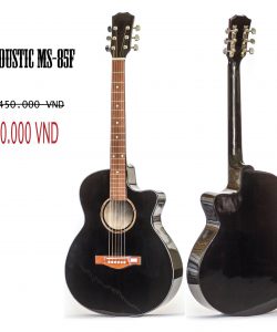 Guitar Acoustic Ms-85FD