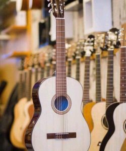 Guitar Ms145-CL