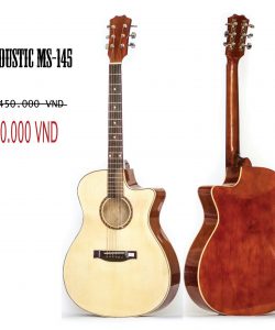 Guitar Ms145-NT
