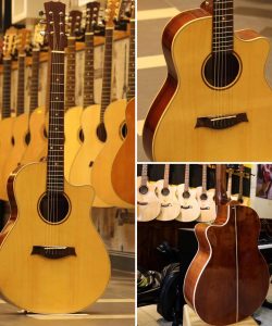 Guitar Ms160a gỗ hồng đào nguyên tấm
