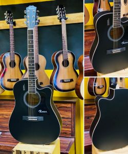 Guitar Rosen R135 chính hãng