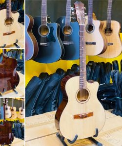 Guitar Ms85v