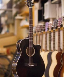 Guitar Acoustic Ms145-EQ
