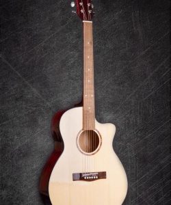 Guitar Acoustic Ms165